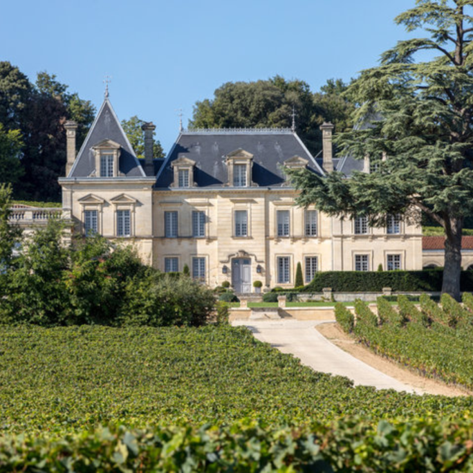 Bordeaux Half Bottles