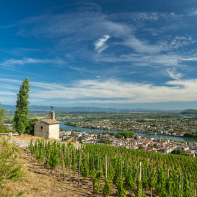 Rhone Valley Half Bottles